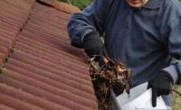 Southeast Gutter Cleaning image 4